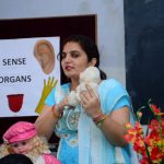 Sense organs 4